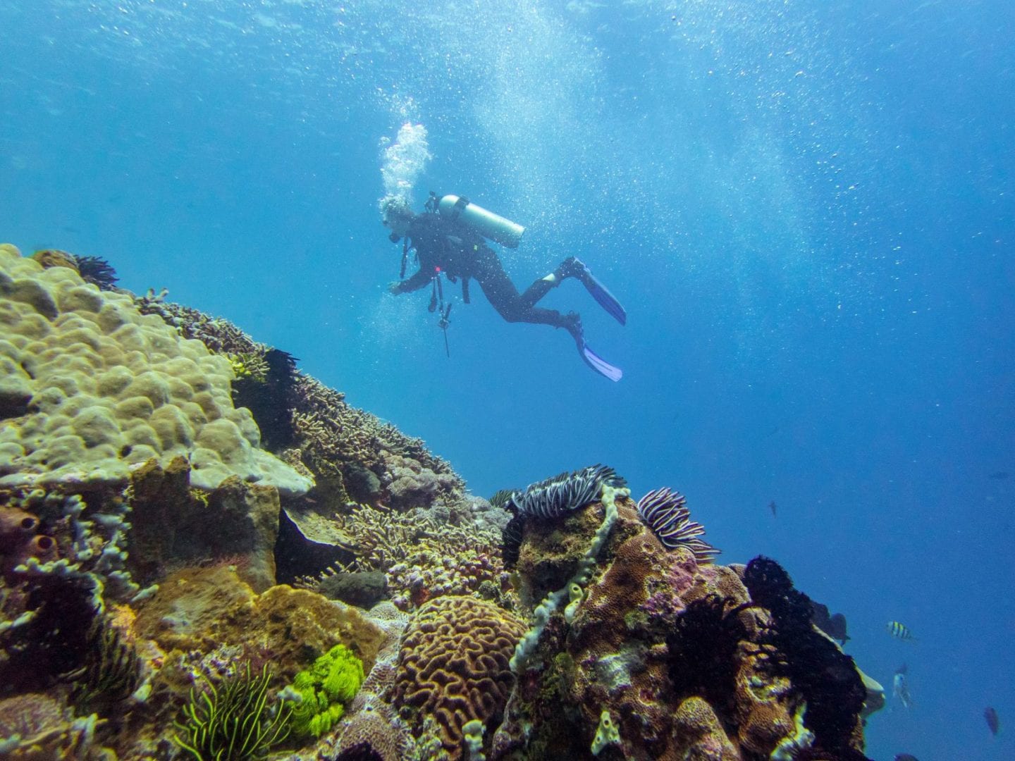 Marine Research